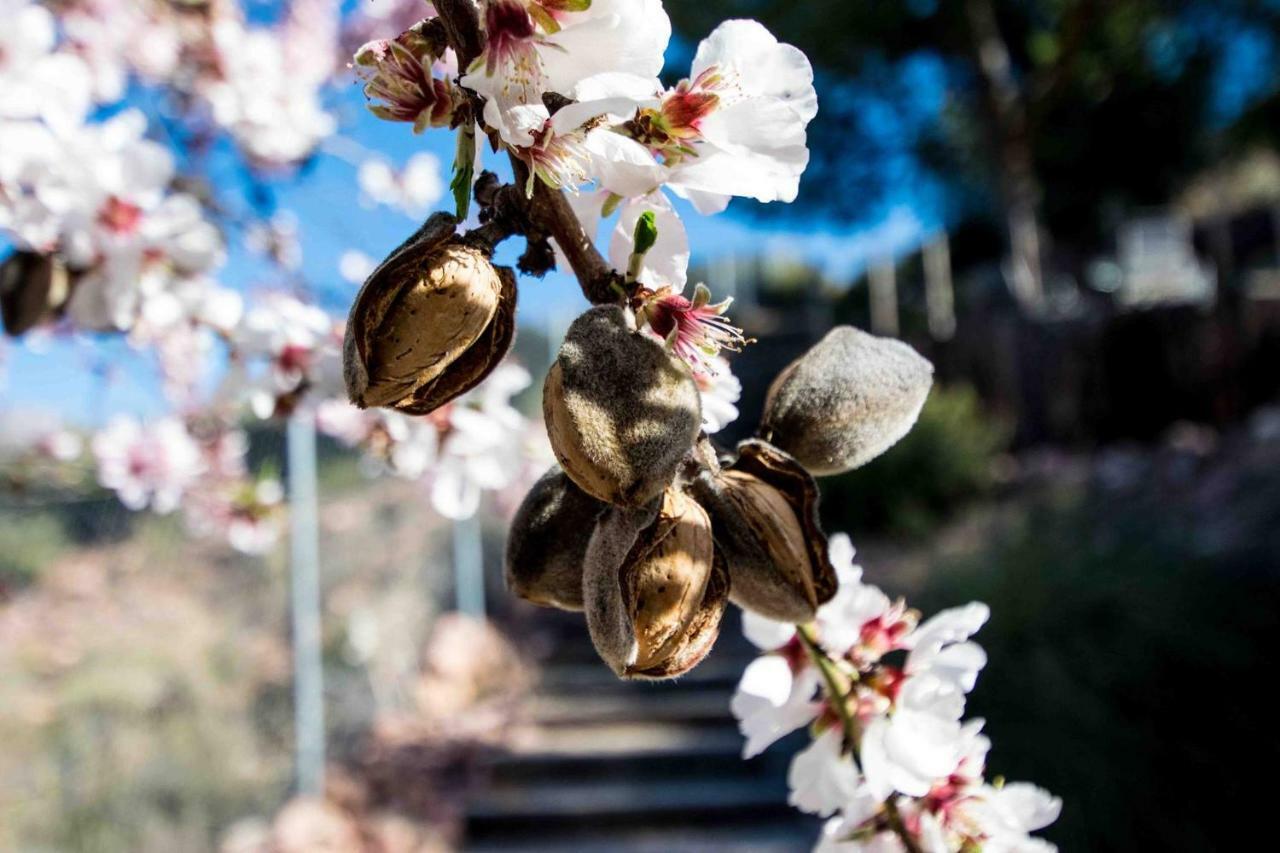 Espuna Walks Casa Los Arcos トタナ エクステリア 写真